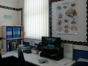 Learning and the brain
